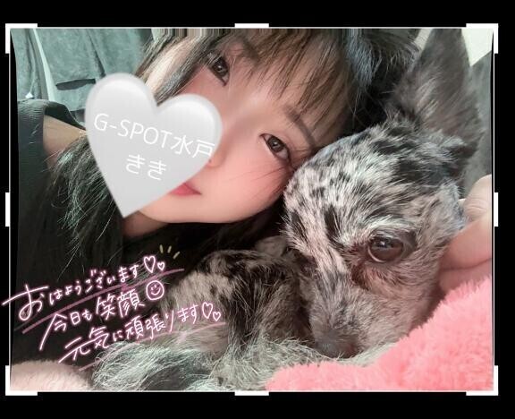 おはようございます?