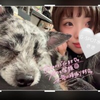 おはようございます?