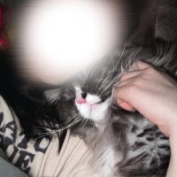 るか