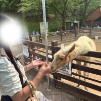 れのあ