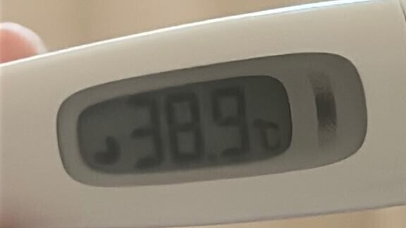 本当にごめんなさい?