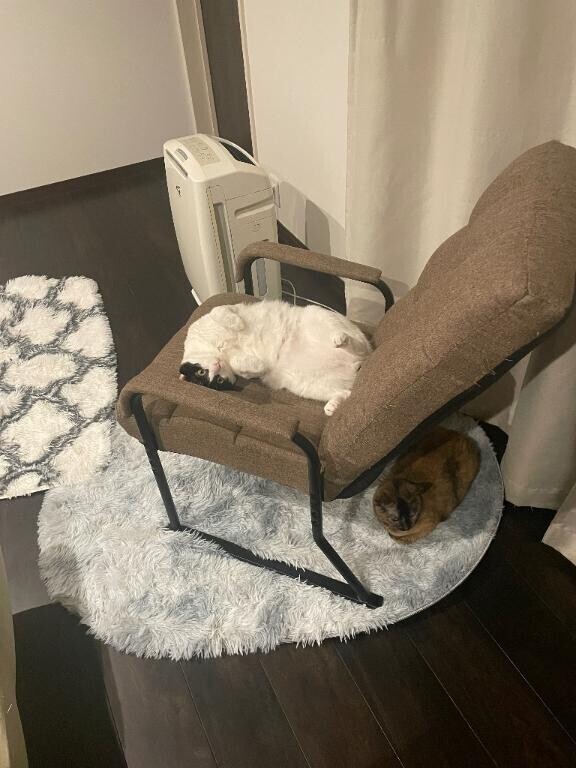 お礼?