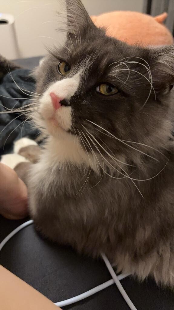 ??とうちゃーく??