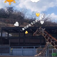 ゆり