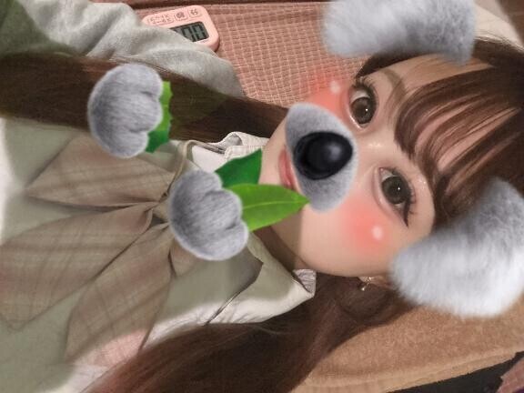 おはよ(/・ω・)/