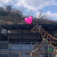 ゆり