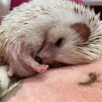 😴