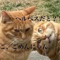 明日、明後日予約してくれたご主人様へ♡