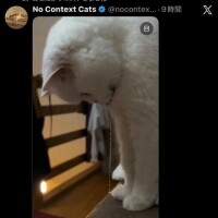 あやねやーんwwww