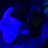 次回🩷