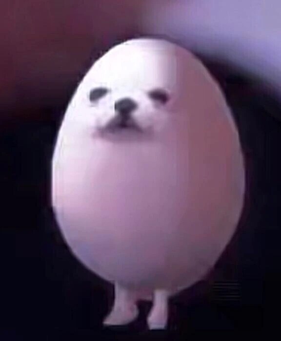 傘？必要かーもーー