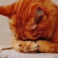 ごめんなさい🙏