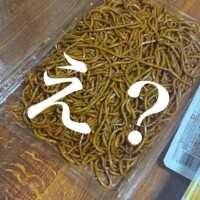 ミミズ祭り