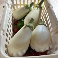 こんばんは♡