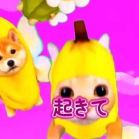 起きてー