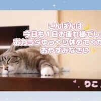♡𝔾𝕠𝕠𝕕ℕ𝕚𝕘𝕙𝕥♡