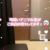 え、可愛い♡♡♡