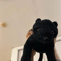 目覚まし無しで起きれた⏰