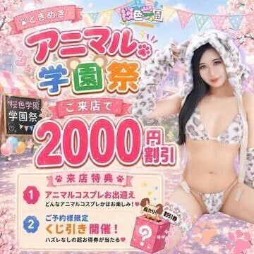 9/6まで‼️