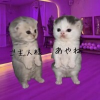 2人だけの時間を♡