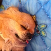 怖すぎる???
