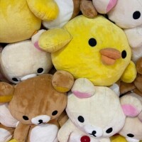 ご質問があったので👍🥺