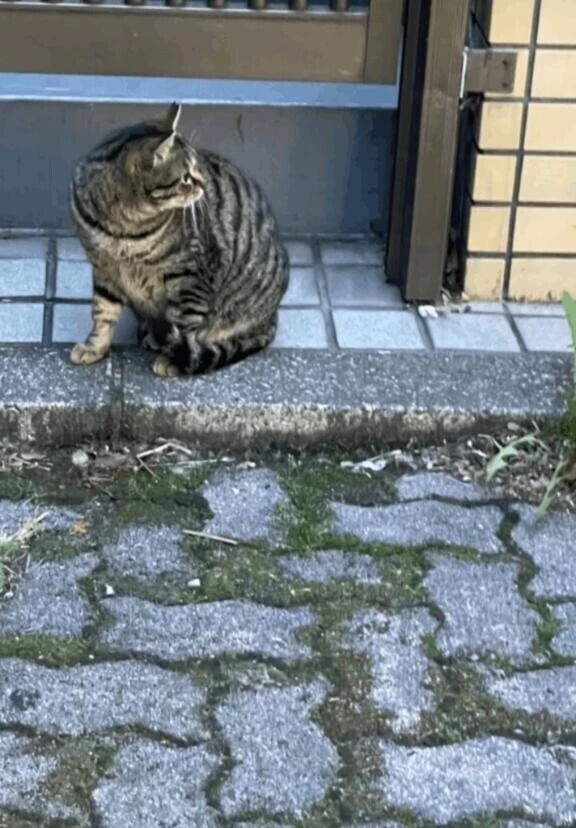 早起きしちゃった🐱‎🩷