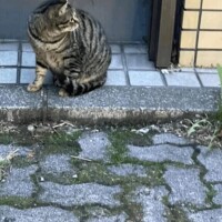 早起きしちゃった🐱‎🩷