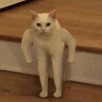 怖い……