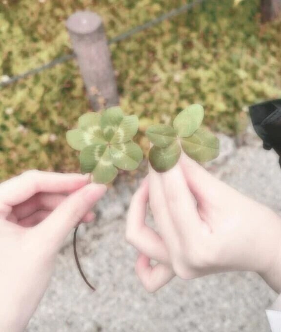 いいことある予感、、、？🍀︎