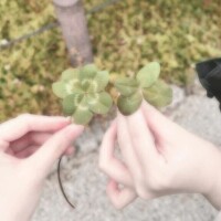 いいことある予感、、、？🍀︎