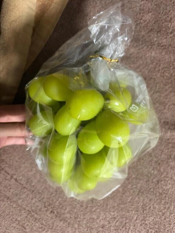 美味しそうな差し入れありがとう🤤