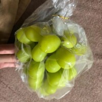 美味しそうな差し入れありがとう🤤