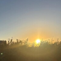 日の出パワーのお裾分け受け取って♡