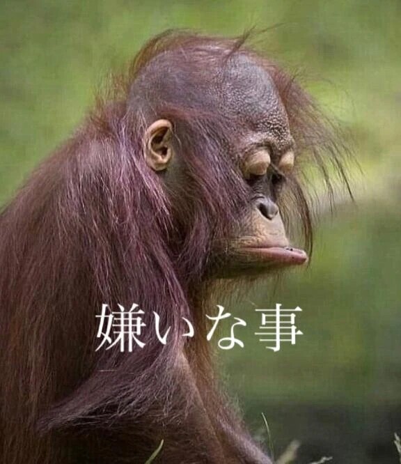 あやねまん嫌いな事、苦手な事