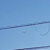 お散歩日和