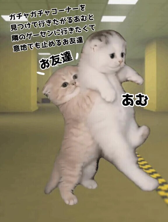 これに目がなくて…‪‪❤︎‬💭