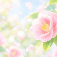 明日からの予定🌼