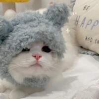 りんか