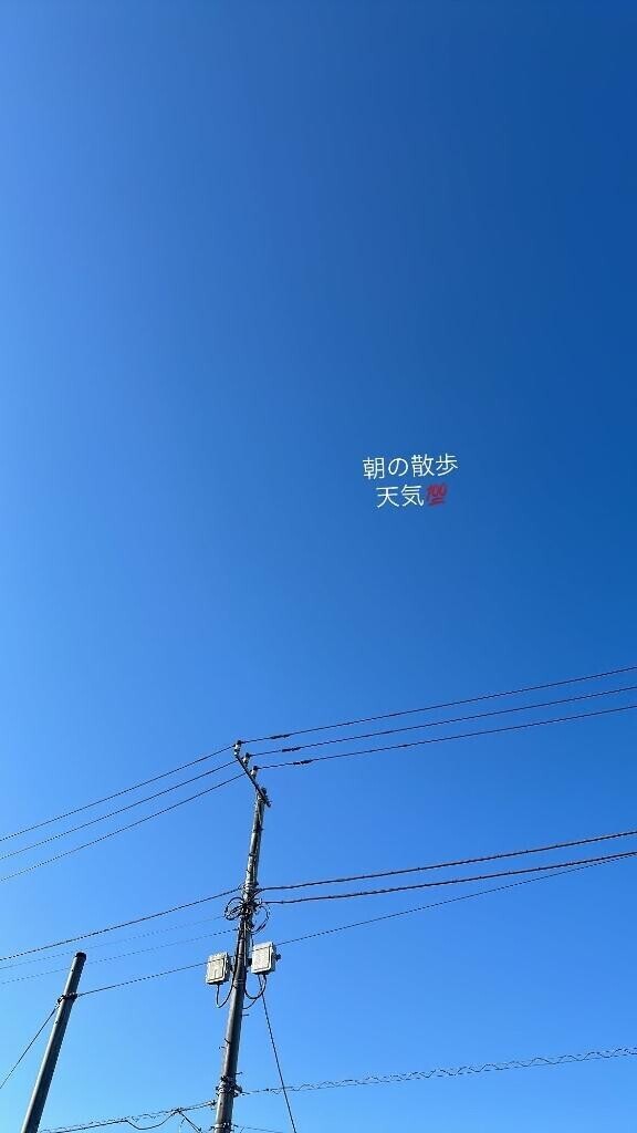今日は??