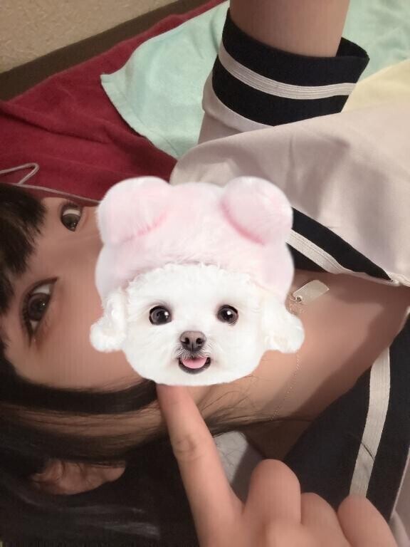 予告なし?