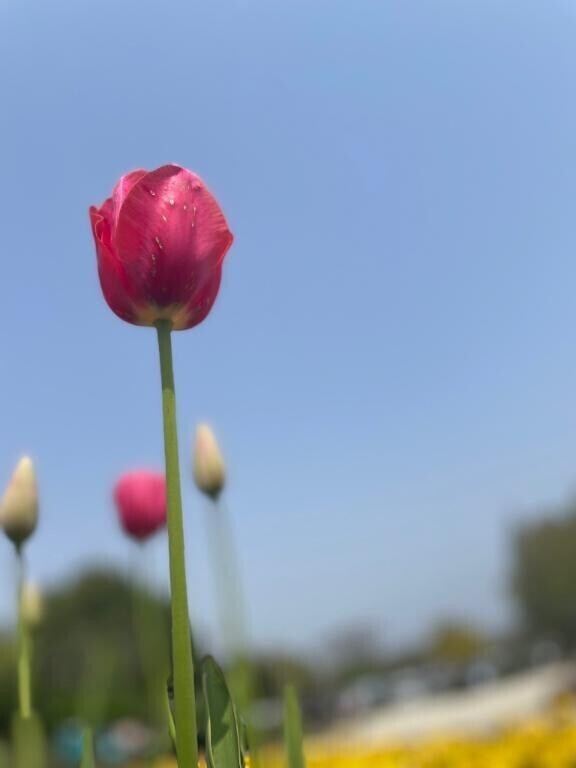 注意事項読んでくれたかな？