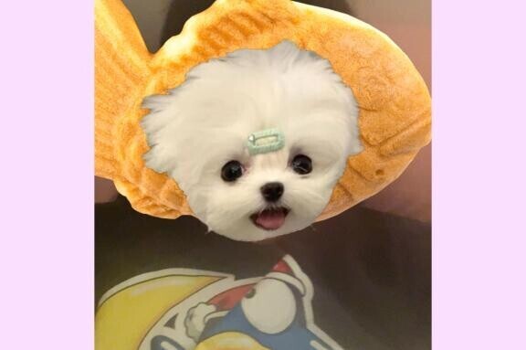 見てくれたら嬉しいな??