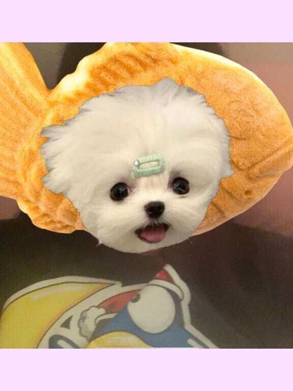 れのあちゃんのきもち