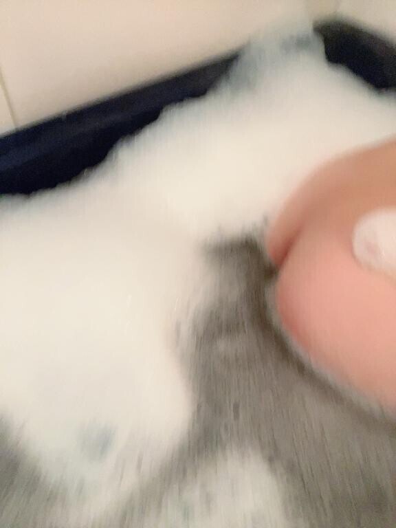 お礼?