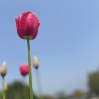 お休み?