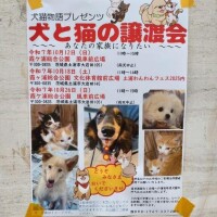 出勤しました