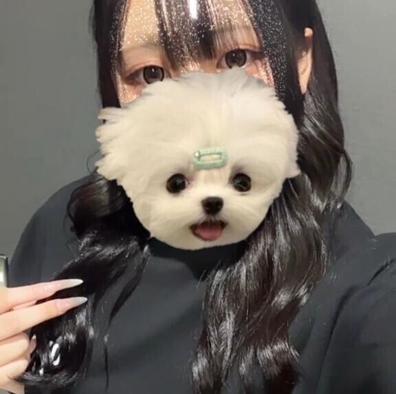 【お礼日記】お仕事前のお兄様へ?