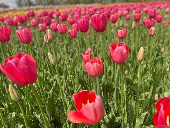 熱が出てしまいました?