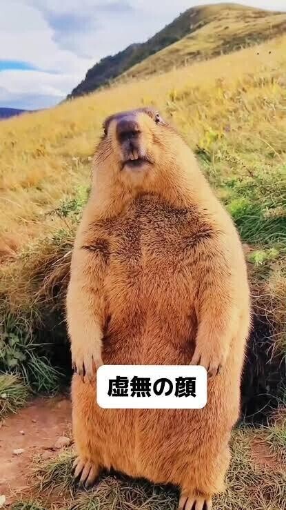 元気になったらまたきます?